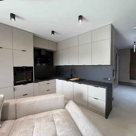 Luxury Terrace Center Гливице